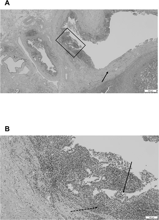 For image description, please refer to the figure legend and surrounding text.