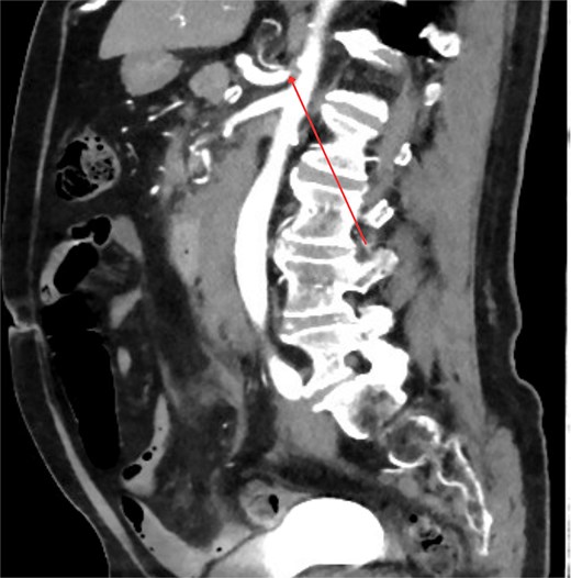 For image description, please refer to the figure legend and surrounding text.