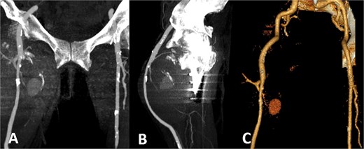 For image description, please refer to the figure legend and surrounding text.