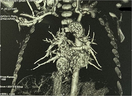 For image description, please refer to the figure legend and surrounding text.