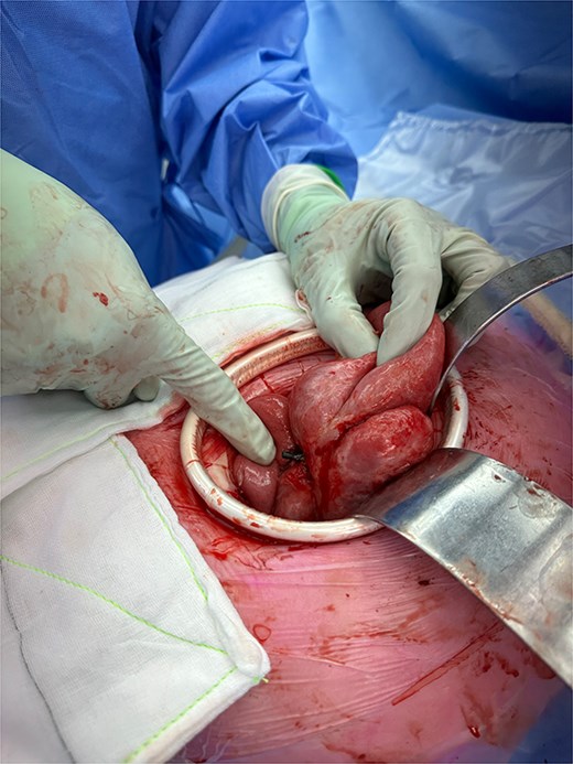 For image description, please refer to the figure legend and surrounding text.