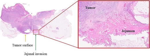 For image description, please refer to the figure legend and surrounding text.