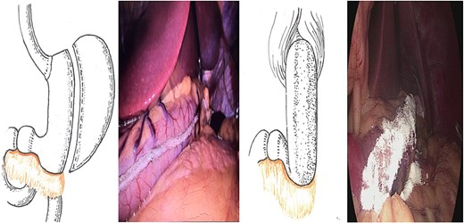 For image description, please refer to the figure legend and surrounding text.
