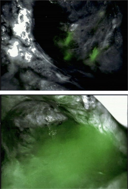 For image description, please refer to the figure legend and surrounding text.