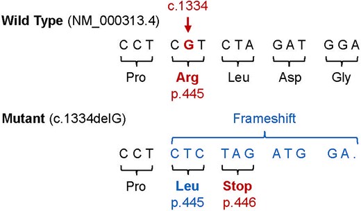 For image description, please refer to the figure legend and surrounding text.