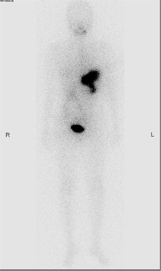 For image description, please refer to the figure legend and surrounding text.