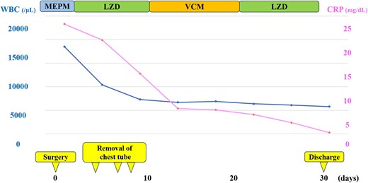 Clinical course after surgery. Postoperatively, the antimicrobial agent was switched from MEPM to LZD after methicillin-resistant Staphylococcus aureus was detected in the pleural effusion culture. The WBC count and CRP level decreased rapidly, and the chest tubes were removed by postoperative day 7. The anti–methicillin-resistant S. aureus agent was temporarily changed to VCM because of thrombocytopenia, then discontinued, and the patient was discharged 1 month after surgery. MEPM, meropenem hydrate; LZD, linezolid; VCM, vancomycin; WBC, white blood cell; CRP, C-reactive protein.