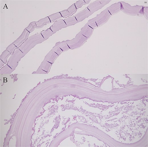 For image description, please refer to the figure legend and surrounding text.