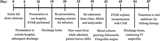 Visual depiction of the clinical course organized chronologically.
