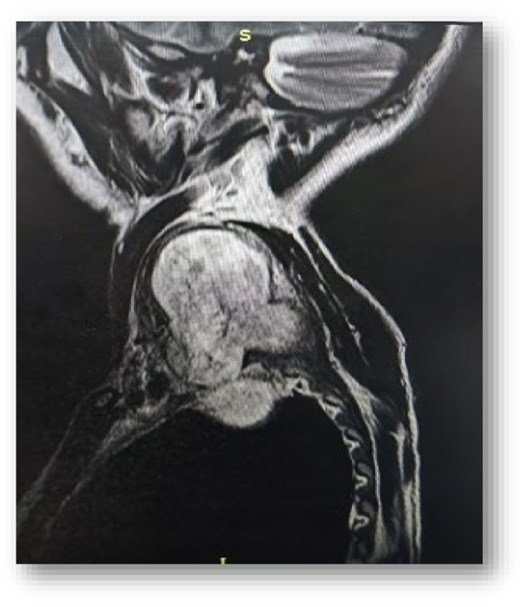 For image description, please refer to the figure legend and surrounding text.