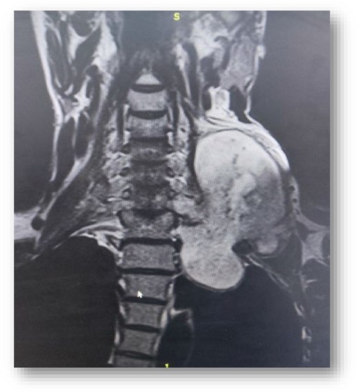 For image description, please refer to the figure legend and surrounding text.