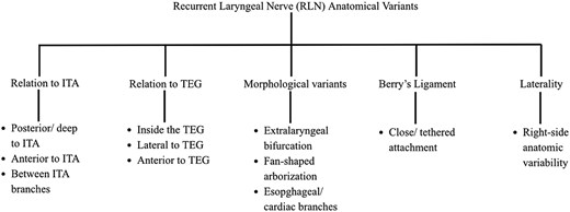 For image description, please refer to the figure legend and surrounding text.