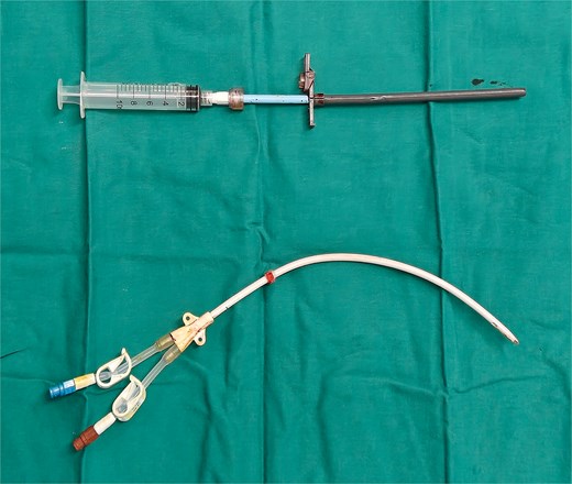 For image description, please refer to the figure legend and surrounding text.