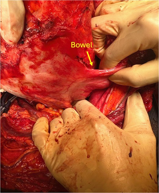 For image description, please refer to the figure legend and surrounding text.
