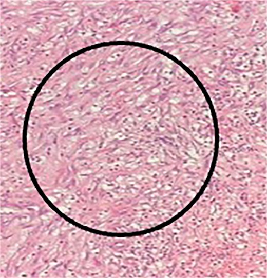 For image description, please refer to the figure legend and surrounding text.