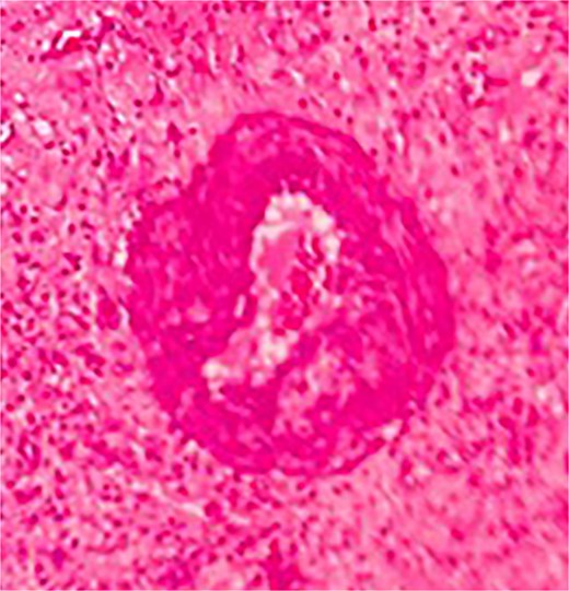 For image description, please refer to the figure legend and surrounding text.