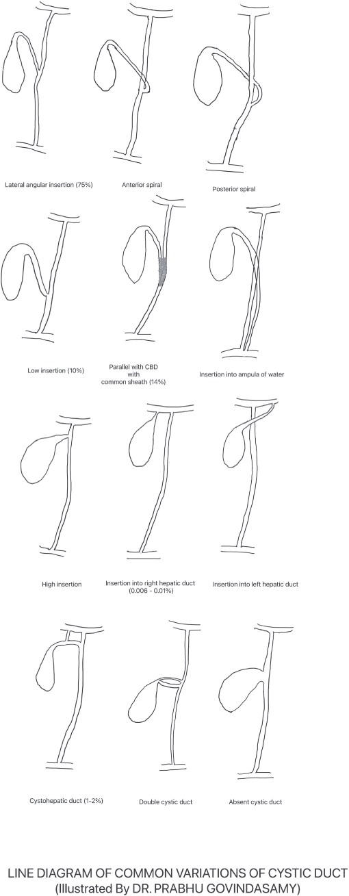 For image description, please refer to the figure legend and surrounding text.