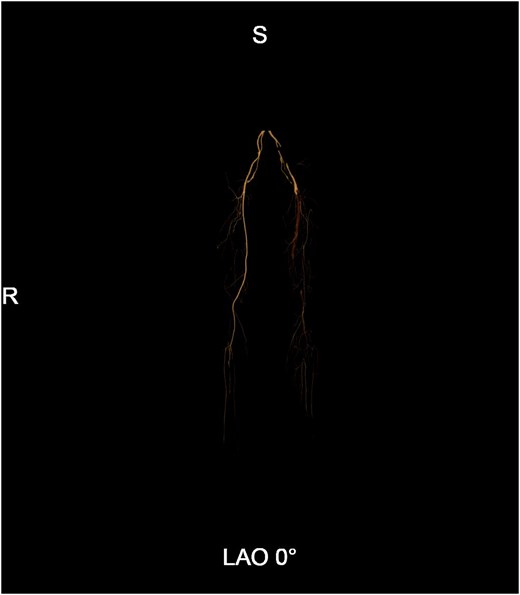 For image description, please refer to the figure legend and surrounding text.