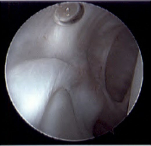 For image description, please refer to the figure legend and surrounding text.