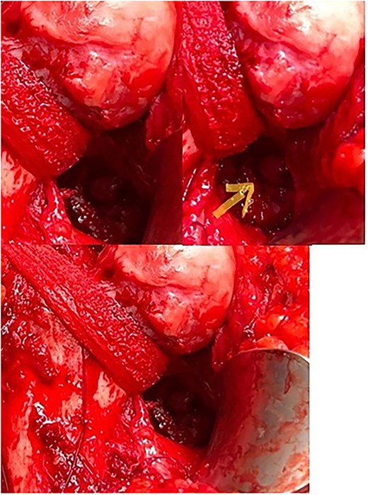 For image description, please refer to the figure legend and surrounding text.