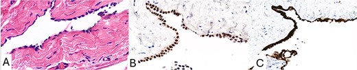 For image description, please refer to the figure legend and surrounding text.