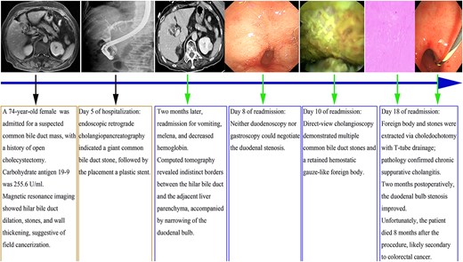 For image description, please refer to the figure legend and surrounding text.
